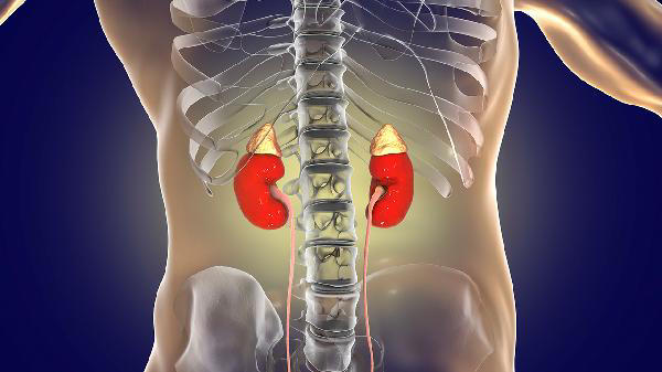 被肾衰“盯上”的人，身体有哪些表现？肾脏最怕的3件事，要牢记