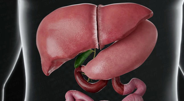 肝硬化是怎么来的？要从肝脏最怕的两大 “天敌”说起