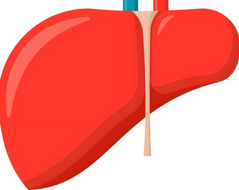 肝硬化是怎么来的？要从肝脏最怕的两大 “天敌”说起