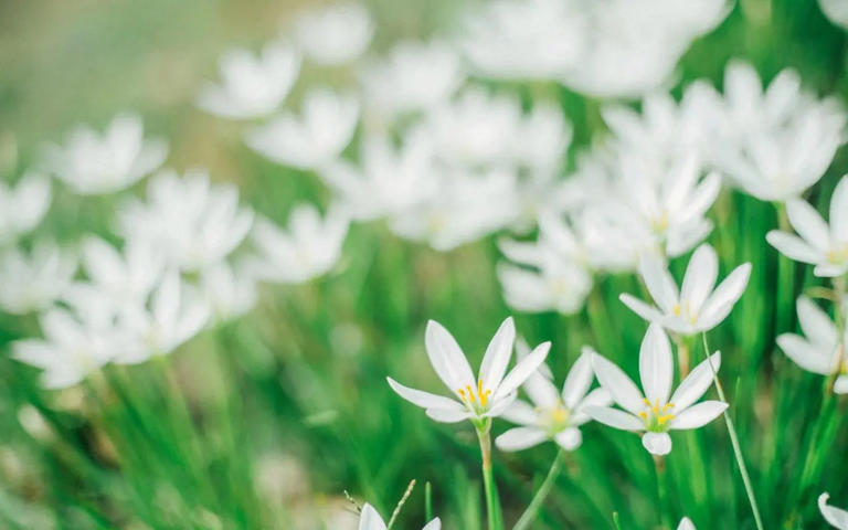 不要有这种心理：别人都笨，只有自己最聪明