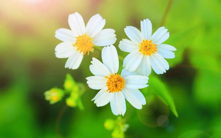 不要有这种心理：别人都笨，只有自己最聪明