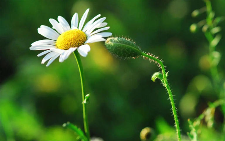 不要有这种心理：别人都笨，只有自己最聪明