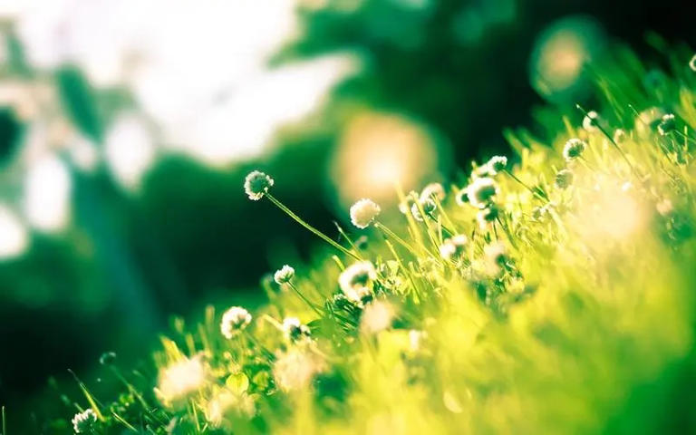 不要有这种心理：别人都笨，只有自己最聪明