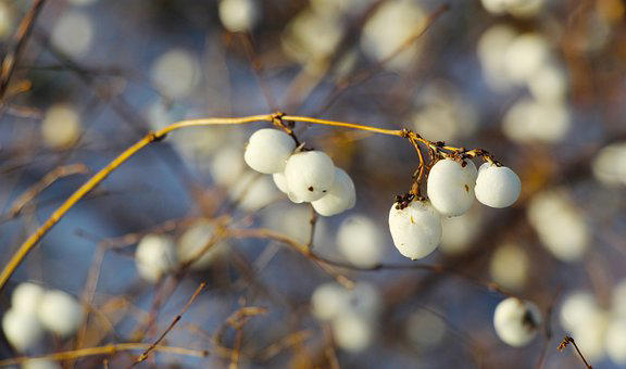 记住，知足，富养你的境界