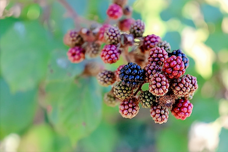 记住，知足，富养你的境界