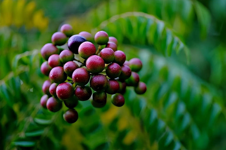 记住，知足，富养你的境界