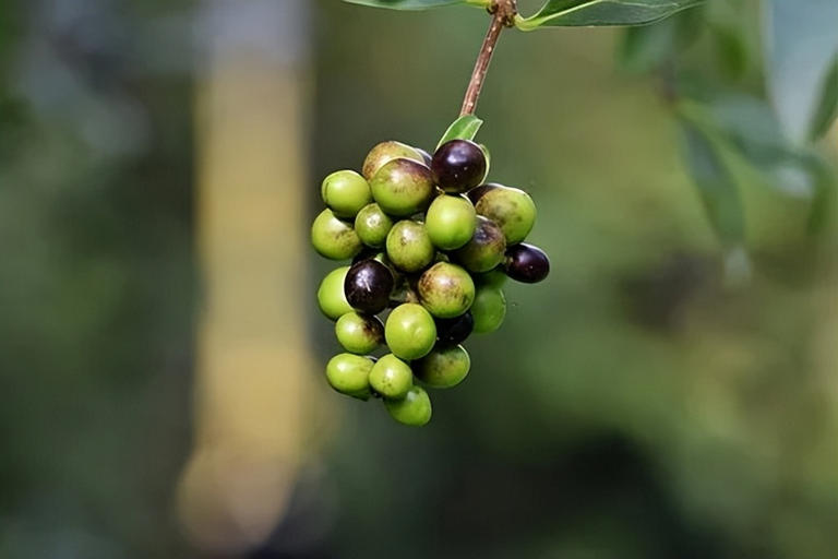 记住，知足，富养你的境界