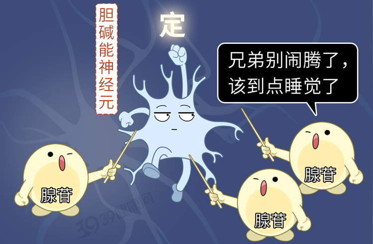 为什么有人可以1秒入睡，你却难以入眠？秒睡到底好不好？