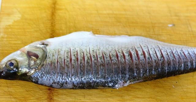 香煎鱼的简单制作方法，家庭餐桌上的美味之选！