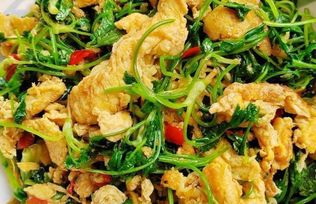 8道家常炒菜，适合一家人吃，鲜香美味超下饭，做法简单易上手