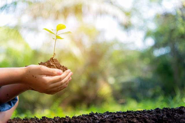 人生路上，适合自己的生活，就是最好的生活