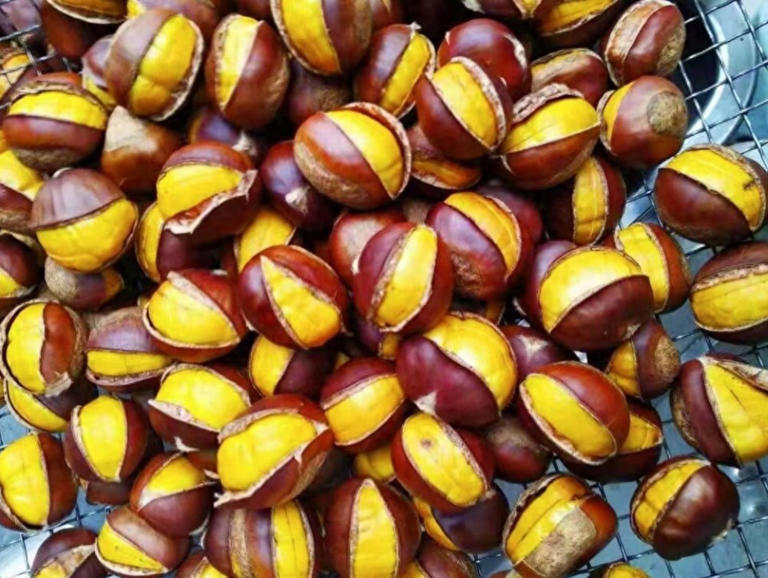 懂点中医的人都知道，板栗的确是个好东西，它被称之为“肾之果”。在这个丰收的季节里，街头巷尾弥漫着糖炒栗子的香甜气息，板栗正大量上市，成为了人们喜爱的美食之一。老祖宗的《本草纲目》里说，它味甘、性温，入肾经。生吃补肾劲足，平时腰酸、头晕的人吃