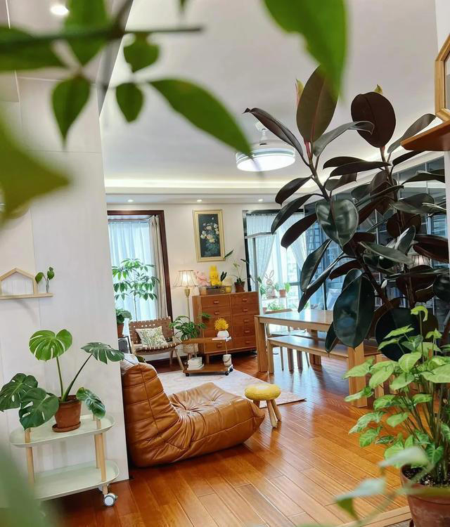 4种“睡眠花”，卧室摆一盆，身体越来越好，难怪聪明人都在养