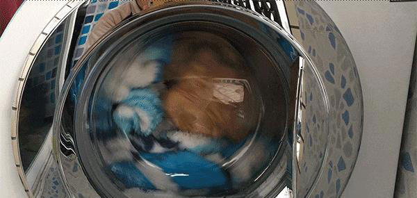 洗衣服前，要先泡水一段时间吗？教你正确方法，衣服干净清新