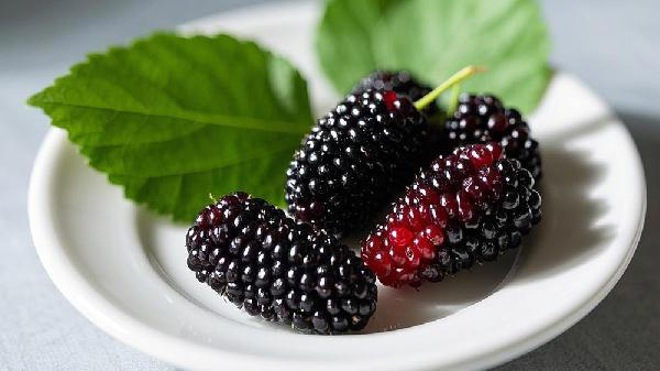 吃桑葚的好处多，但并非所有人都适合吃，这些人要少吃