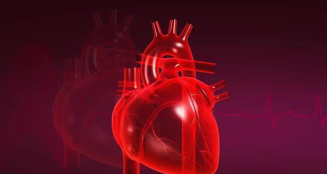 心脏与花生的关系，医生：若想保护心脏健康，尽量少吃这4种坚果