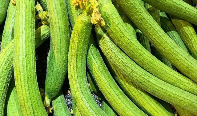 丝瓜再次成为关注对象！医生再三强调：吃丝瓜时，要多注意这3点