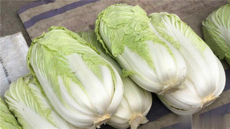 终于懂了！绿叶白菜和黄叶白菜区别大，别再买错