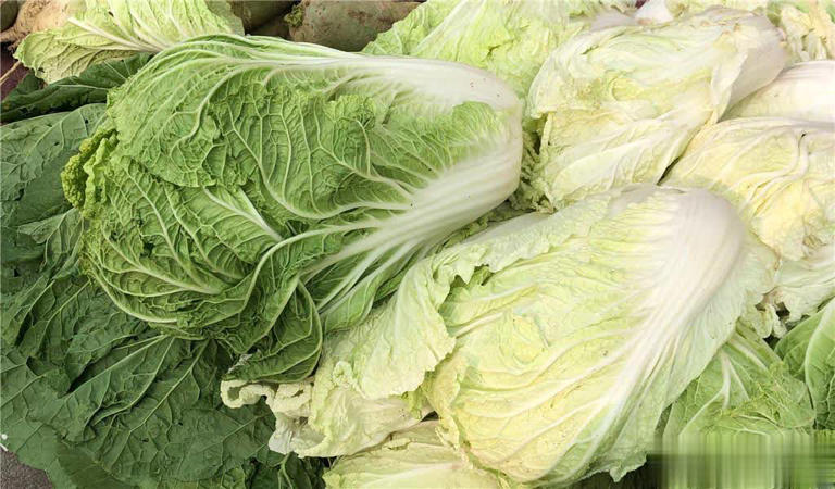 终于懂了！绿叶白菜和黄叶白菜区别大，别再买错