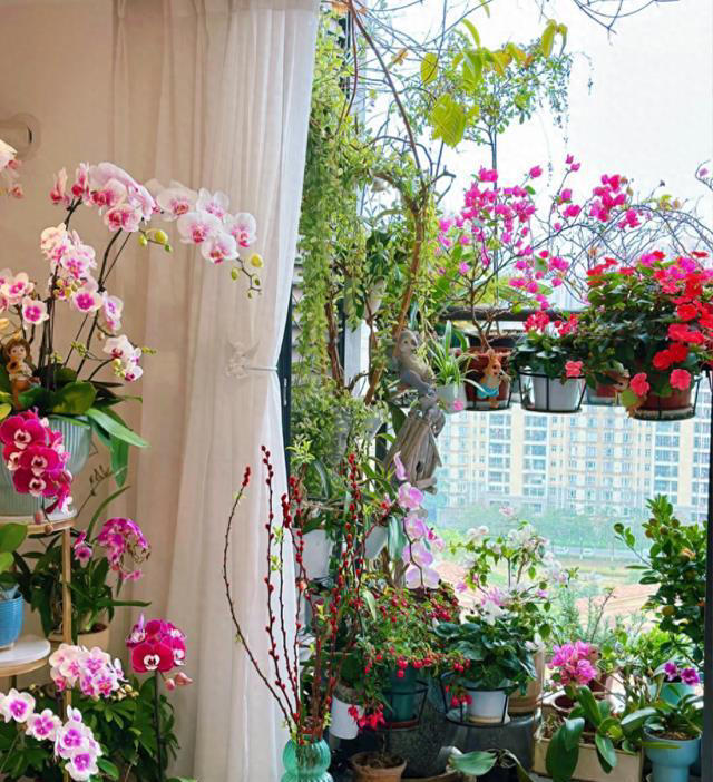 这8种“喜荫花”，养在家里，可别直晒太阳，晒一盆枯一盆！