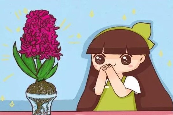 这6种花,花期超级长,养1盆365天能开花! 这6种花,花期超级长,养1盆365天能开花!