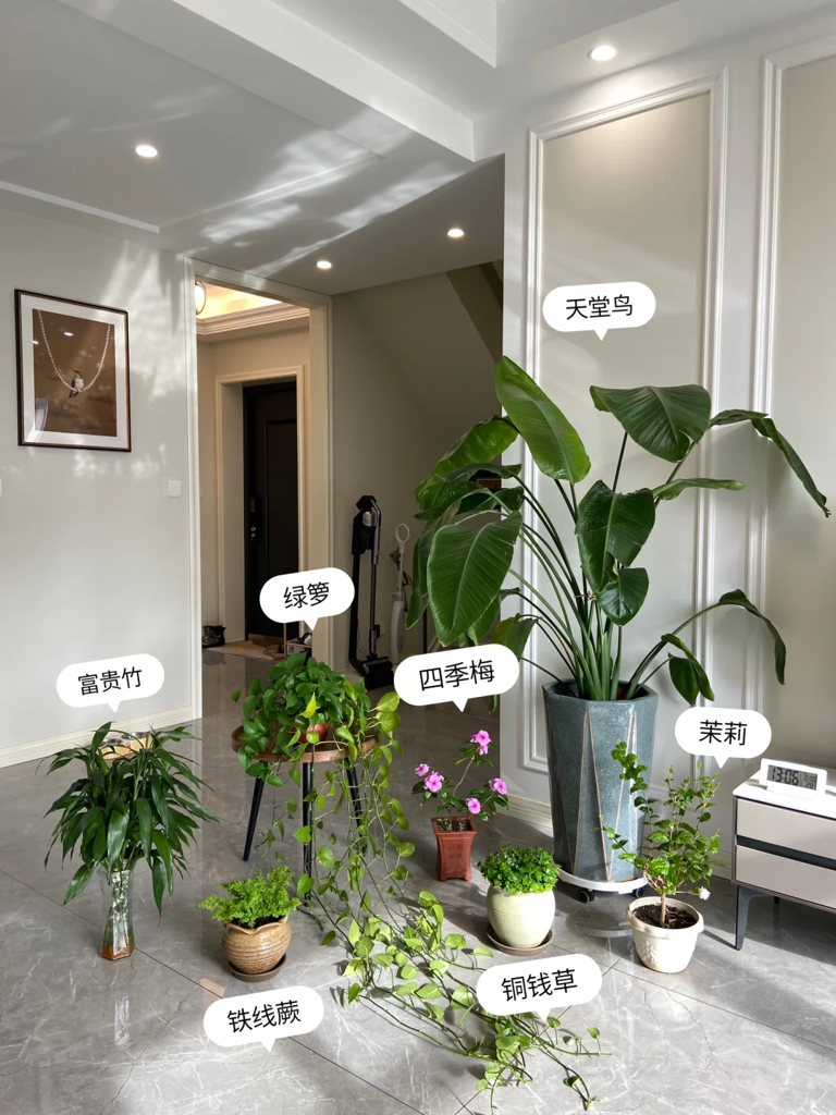 这7种花就得“贱养”，盆小水少反而越长越旺！