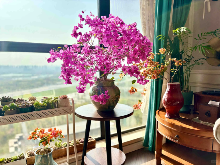 这7种花就得“贱养”，盆小水少反而越长越旺！