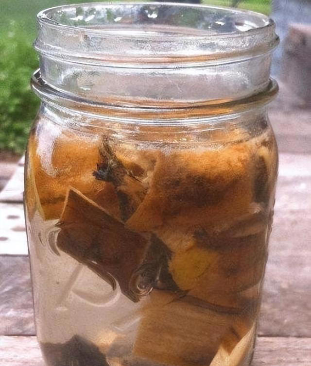 高手养花从不施肥，仅用4种“零食”，给花喂1点，反倒生长更猛