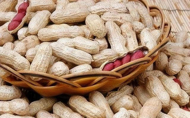 高手养花从不施肥，仅用4种“零食”，给花喂1点，反倒生长更猛