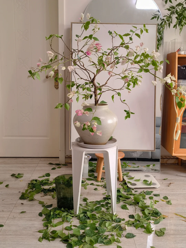 立冬前给4种花“剃头”，下手狠点，来年芽多花更繁