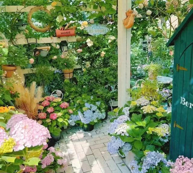 “人养花，花也养人” 适合养在室内的6种“健康花”，高低养一盆