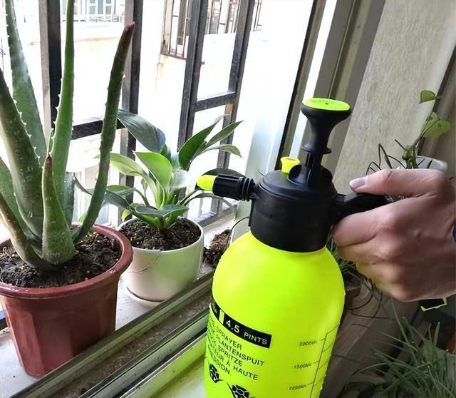 用“3种水”来浇花，枝叶繁茂，开花艳丽，花苞更多，叶子绿油油