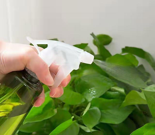 用“3种水”来浇花，枝叶繁茂，开花艳丽，花苞更多，叶子绿油油