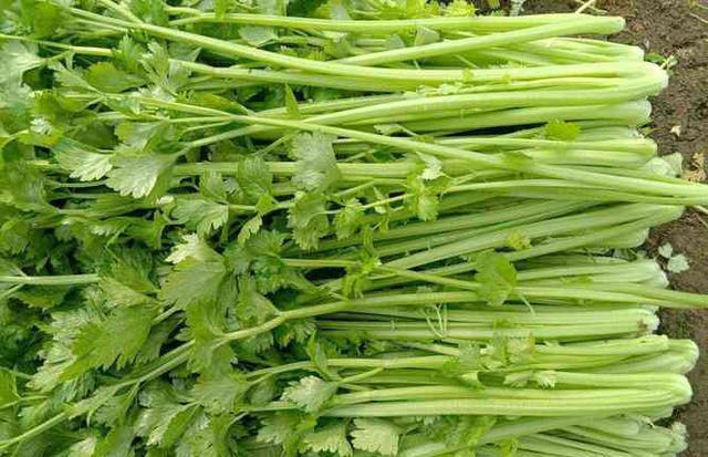 建议中老年人：常吃这4样，润肠通便，健脑益智，腿脚更利索！