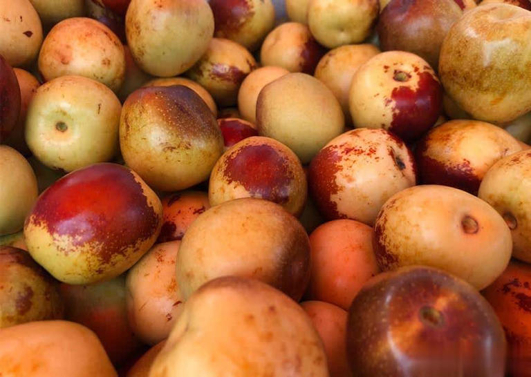 买冬枣挑红还是挑黄？老果农道出实情，别再瞎买了