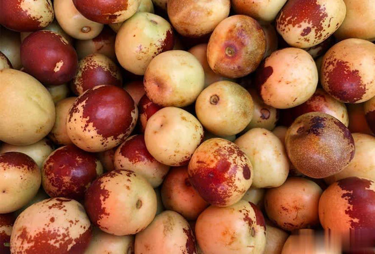 买冬枣挑红还是挑黄？老果农道出实情，别再瞎买了