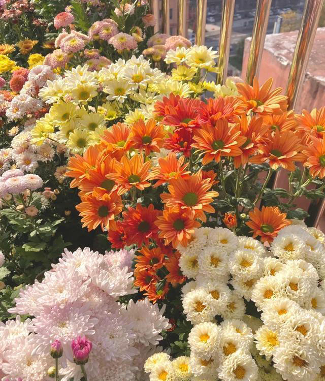 你养什么样的花，就是什么样的人