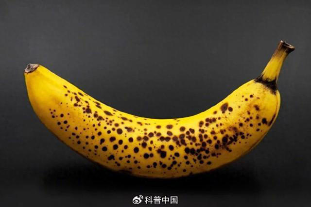 真的没骗你，香蕉皮上长这种黑斑，反而更好吃！