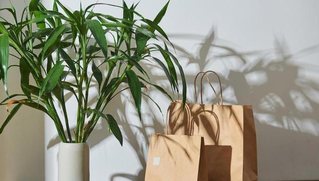 10种超易养花卉，零经验也能轻松打造家中小花园