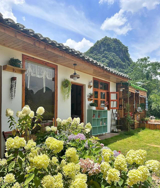 有了院子，就有不一样的生活！