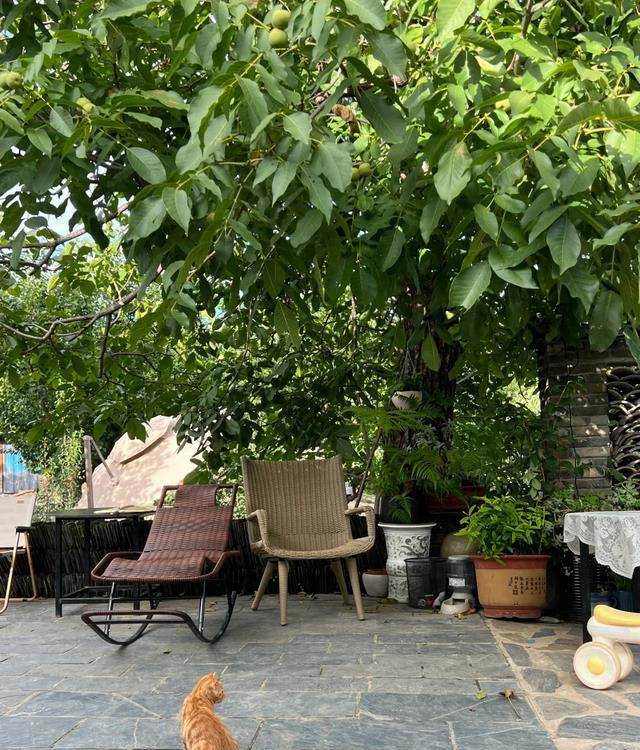 有了院子，就有不一样的生活！