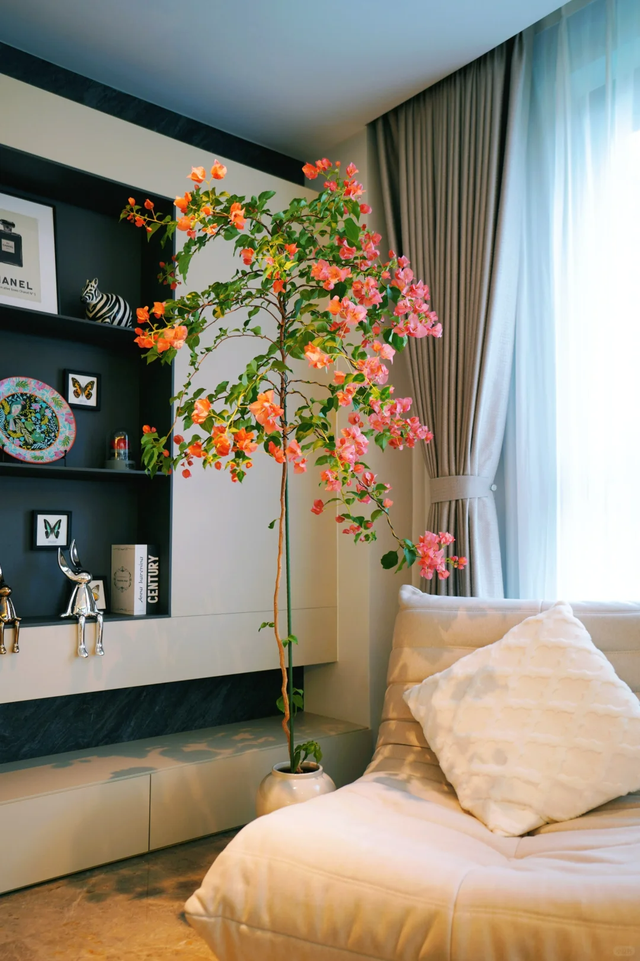 养花10年悟了，养花在精不在多，只养1种更开心