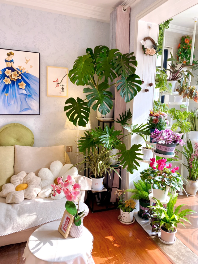 养花10年悟了，养花在精不在多，只养1种更开心