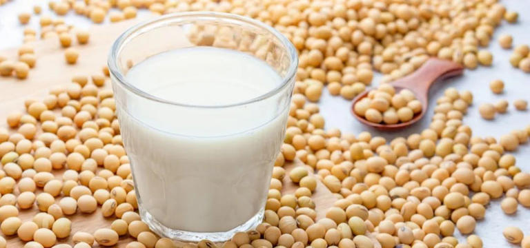 吃什么食物能“补血”？血液科医生推荐这6类！