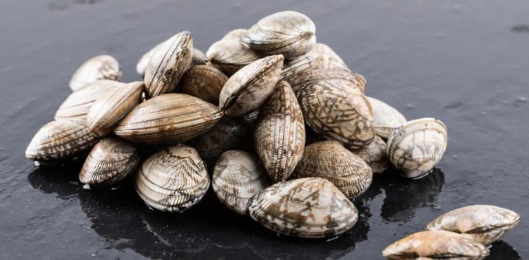 吃什么食物能“补血”？血液科医生推荐这6类！