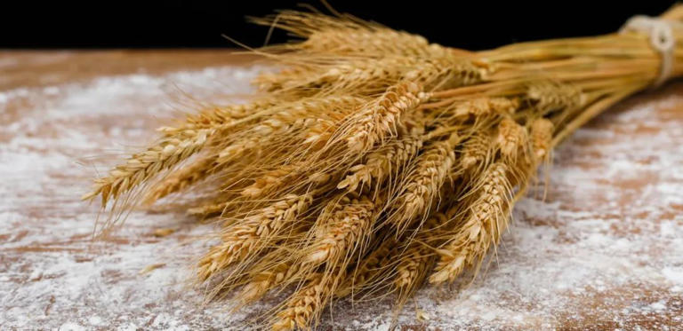 吃什么食物能“补血”？血液科医生推荐这6类！