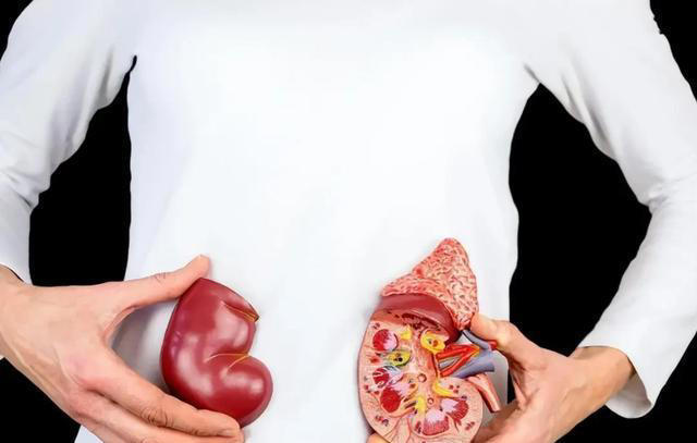 男性开始衰老时，一般会有“1臭2大2小”，若没有，恭喜还算年轻