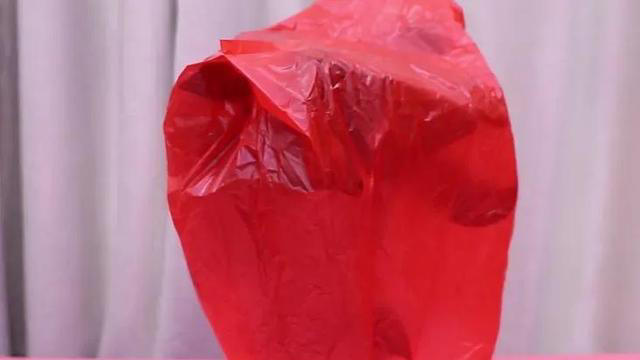 室内养花爱生虫？3个“笨方法”，不用喷农药，小虫消灭净