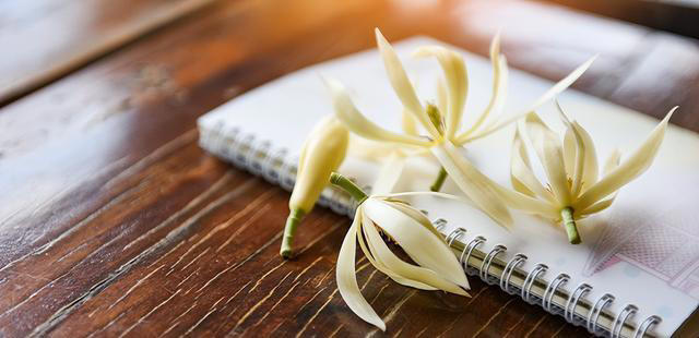 聪明人抢着养的“7种花”，怪不得全家身体健康，你还在犹豫什么