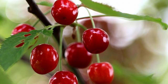 睡眠不好容易老，这四种食物可改善睡眠，一周吃3次，助眠效果好